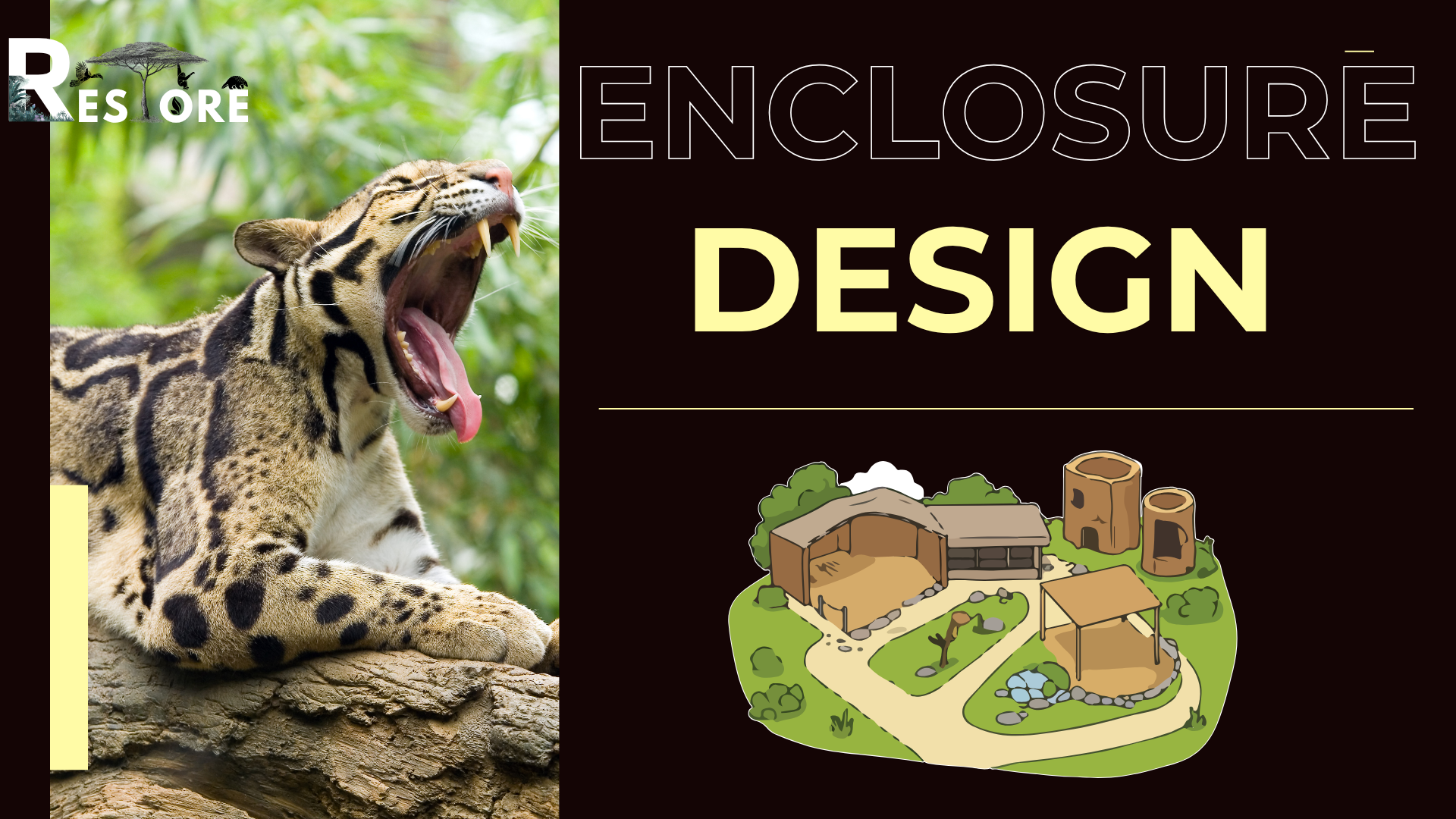 Captivity & Enclosures