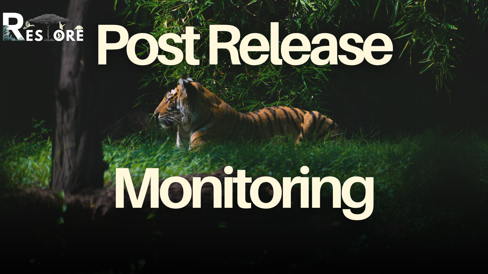 Post-Release Monitoring