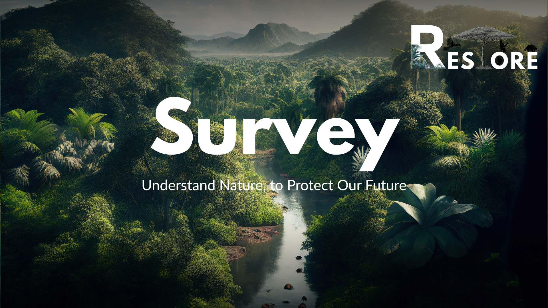 Research & Survey