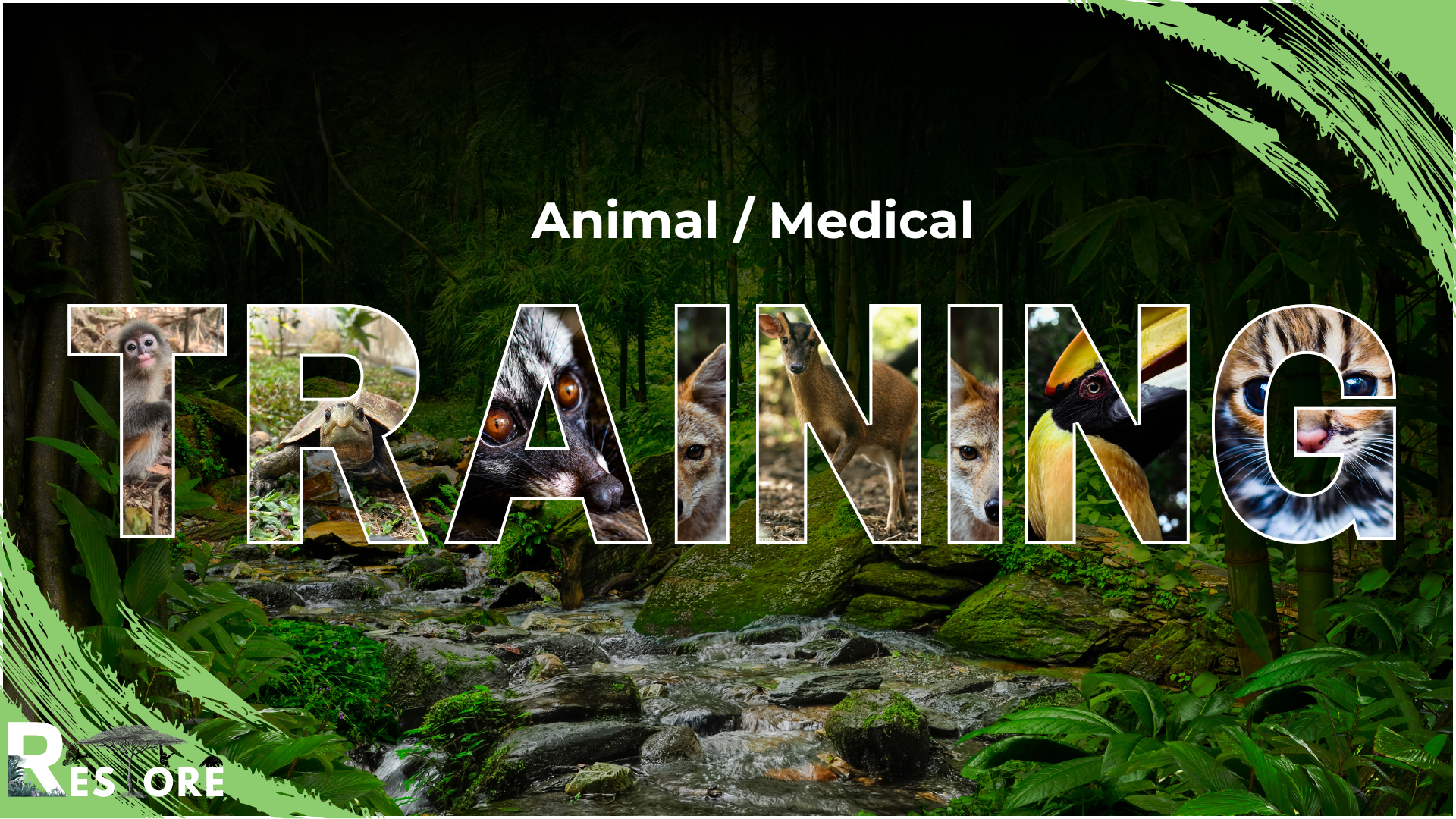 Medical Training