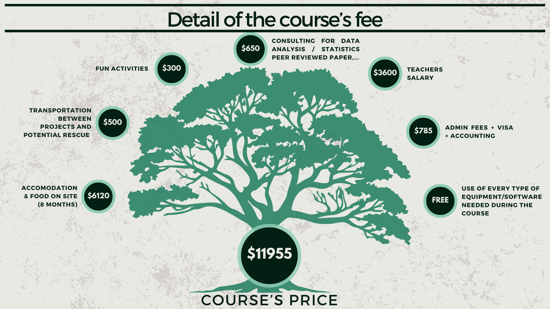 The price includes everything you need during the course for : 996$ / Month for one year.