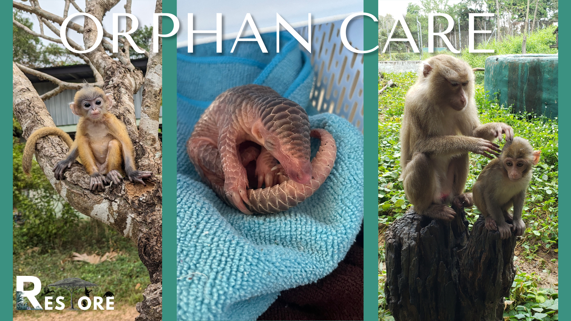 Orphan Care